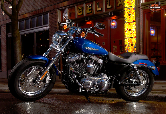 Harley Davidson 1200-custom