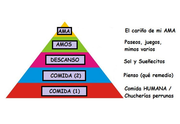Pirámide de Maslow Canela edition