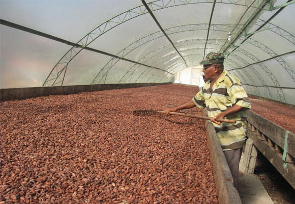 Empresa de cacao en República Dominicana. 