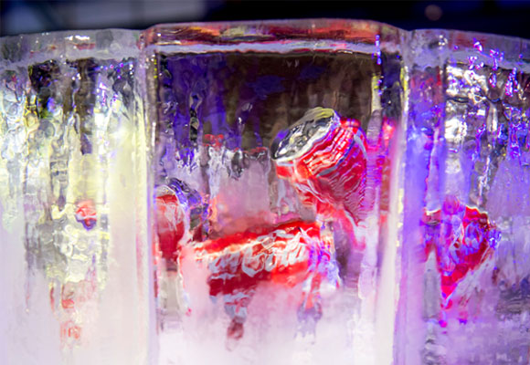 Una cortina de hielo escondía las latas de Coca Cola