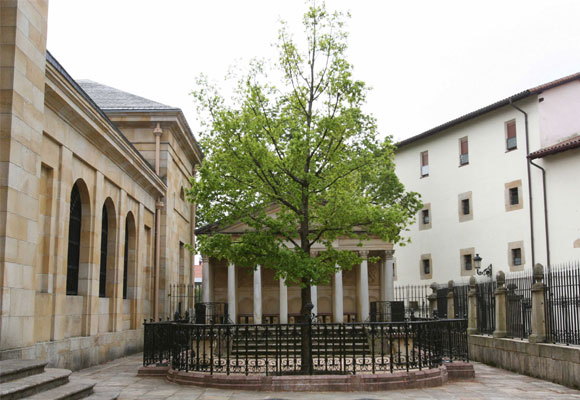 El árbol de Gernika es uno de los más especiales de España. Foto: wikimedia