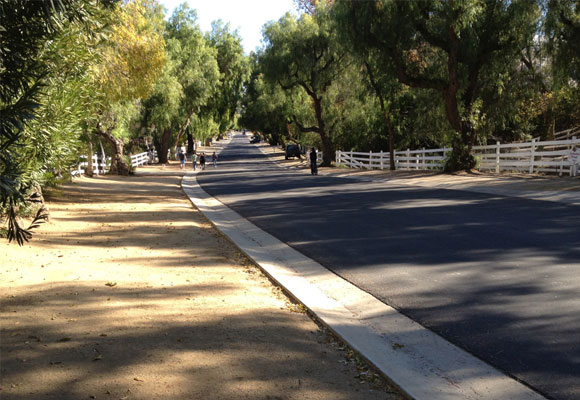 An albero-covered street in Hidden Hills, California.