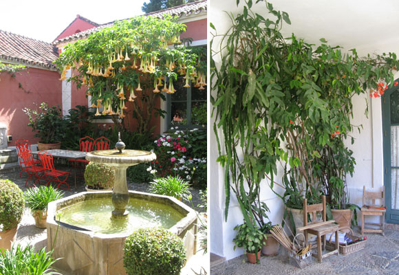 The entrance patio with begonias and wicker. A night blooming cereus  crawls up the wall.  Photo credit fashionsphinx.com