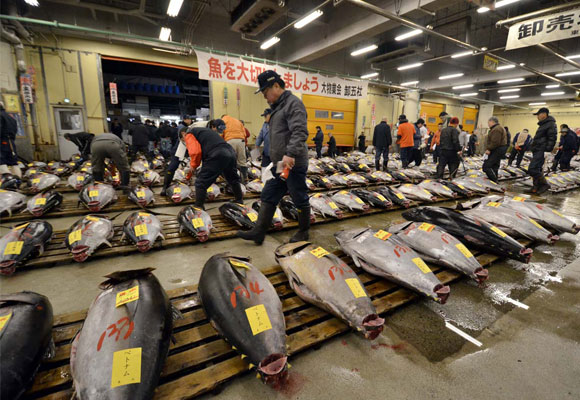 Mercado del pescado de Tokio. Foto: Getty