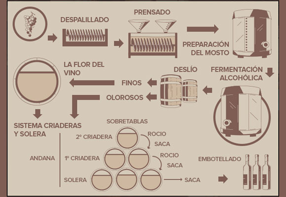 Proceso de elaboración artesanal del vino