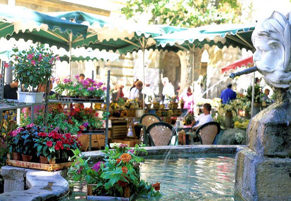 Mercado de flores en Aix en Provence