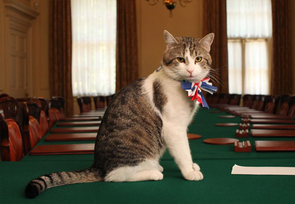 Larry es el gato de David Cameron