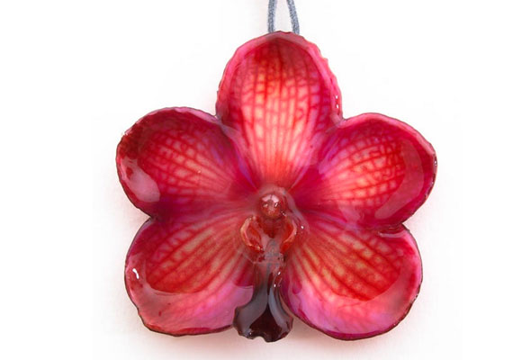 Las orquídeas Vanda en colgante y pendientes en vibrante color rojo.