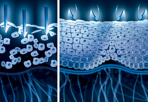 Piel antes y después de usar Biotherm 