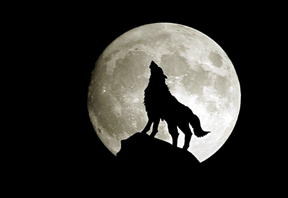 Los hombres lobo, un mito ligado a la luna para el que no hay explicación