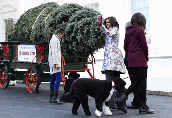 MIchelle Obama y sus hijas recibieron el enorme árbol de Navidad