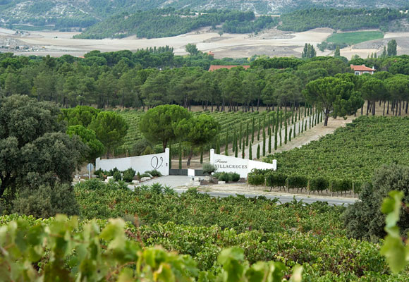 El vino se extrae de las viñas de la Bodega, cuya vista aérea se disfruta en esta fotografía