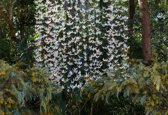 El altar fue ideado como una lluvia de Tsurus, pájaros en origami, enmarcados con árboles de acacia mimosa. Fotografía Julia Ribeiro