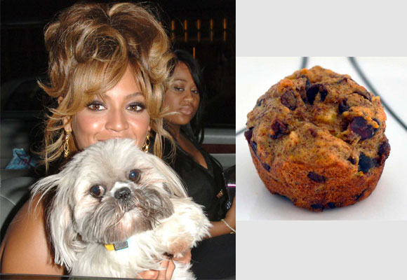 Beyoncé puso a su perro Munchie por su afición a los pastelitos 