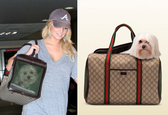 Jessica Simpson confía en el bolso de Gucci para su mascota