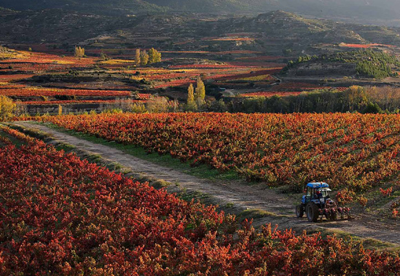 Descubre La Rioja desde otro punto de vista más familiar