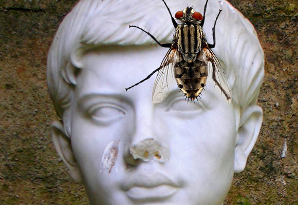 Virgilio y su mosca