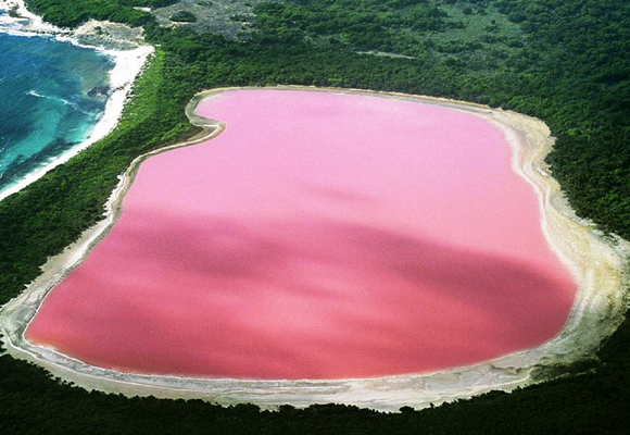 El color se debe a un alga de pigmentación roja que vive en el lago