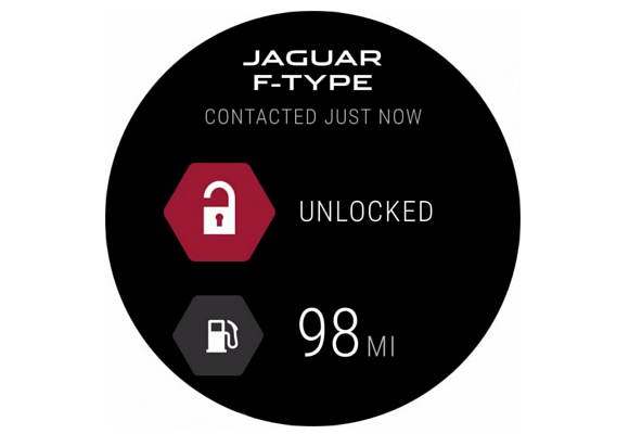 Jaguar 1