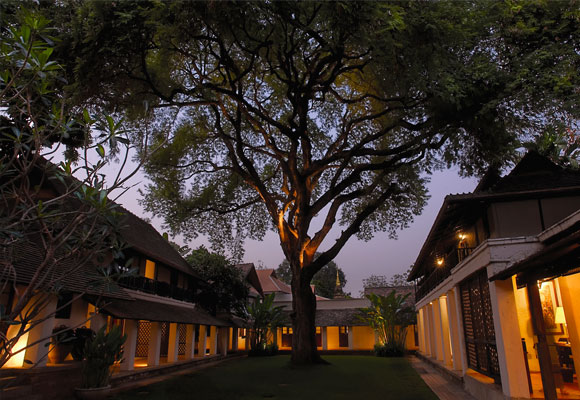 Tamarind Village con su árbol bicentenario