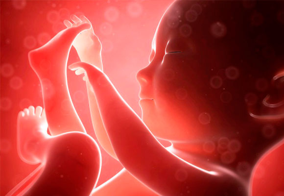 Las necesidades del feto hacen que tengamos un torrente de sangre más elevado