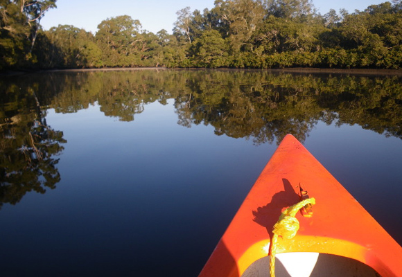 Alquila un kayak en Currambene Creek 