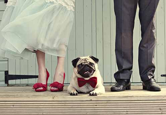Cada vez es más habitual que los novios se lleven a su mascota a la boda