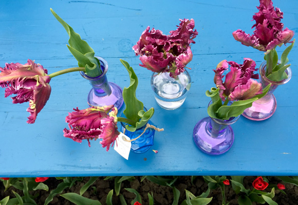 Tulipanes Parrot Mystery que pronto saldrán al mercado en floreros hechos a mano 