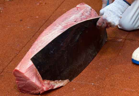 Se está estudiando cómo usar la piel del atún rojo en alta cocina