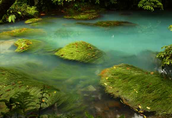 El agua de Río Celeste se tiñe de colores alucinantes
