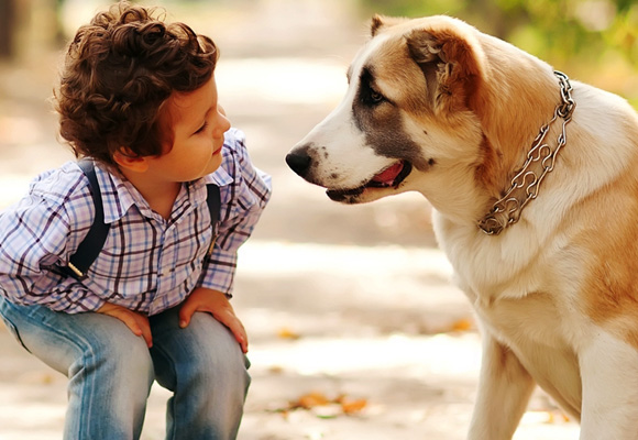 Durante el verano los niños y las mascotas pasan mucho más tiempo juntos, asegúrate de que ambos saben cómo tratarse