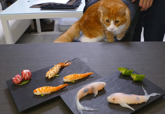Sushi en forma de pescado para gatos
