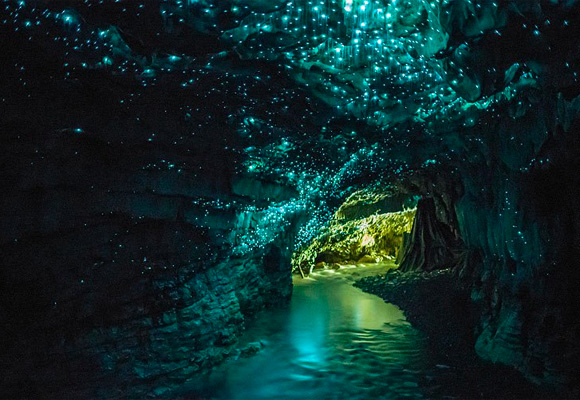 Vista nocturna de las cuevas con las colonias de gusanos 'iluminados'