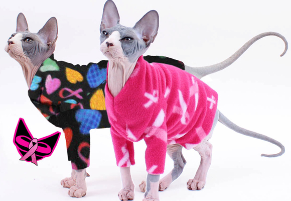 Gatos esfinge con pijama solidario