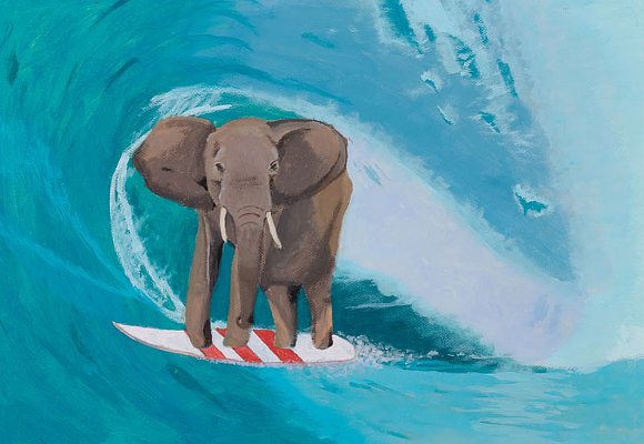 martin-rosende-elefante-surfista