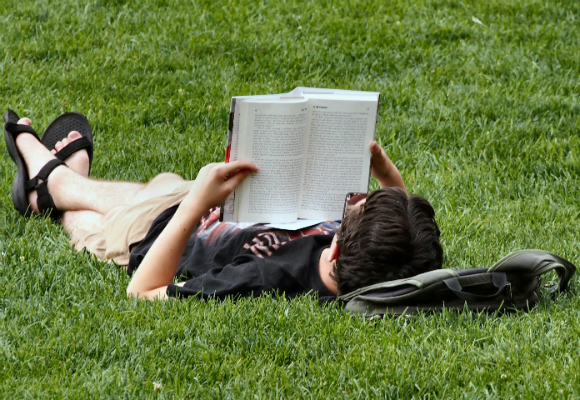 leer al sol en un parque