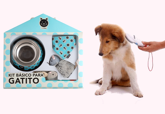 casa-ideas-kit-primer-gatito-y-microchip-perros