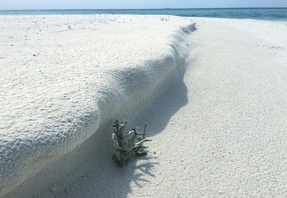 la-arena-en-maldivas-es-blanca-porque-esta-formada-por-particulas-de-coral