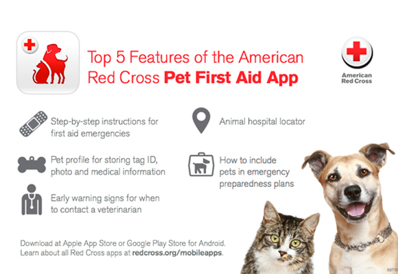 Consejos de la Cruz Roja americana
